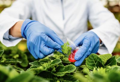 Bio-Remediation